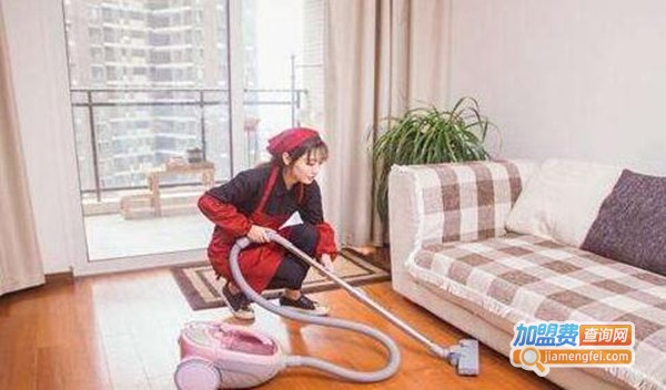 苗苗家政加盟费