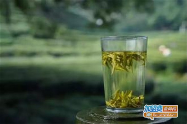 浙茶茶叶加盟费