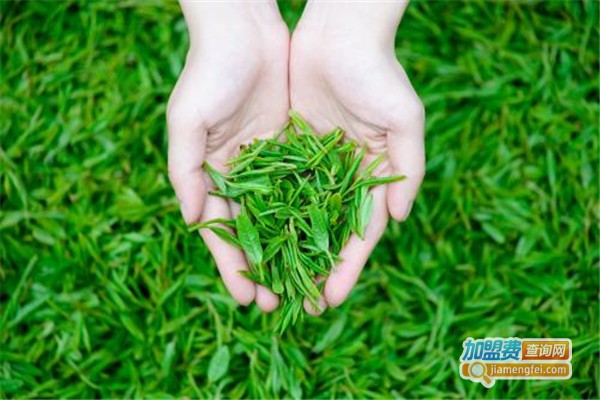 擎峰茶业加盟费