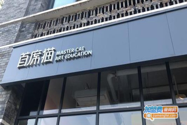 首席猫艺术教育加盟费
