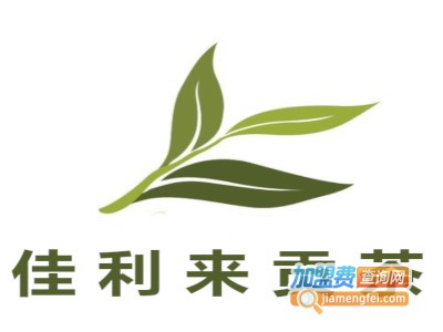 佳利来贡茶加盟费