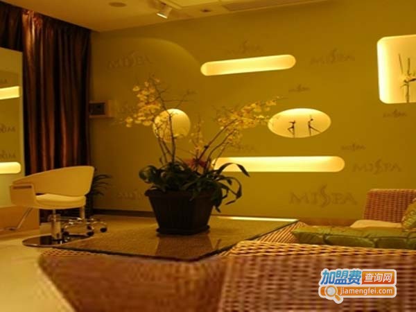 麦莎美容spa加盟店