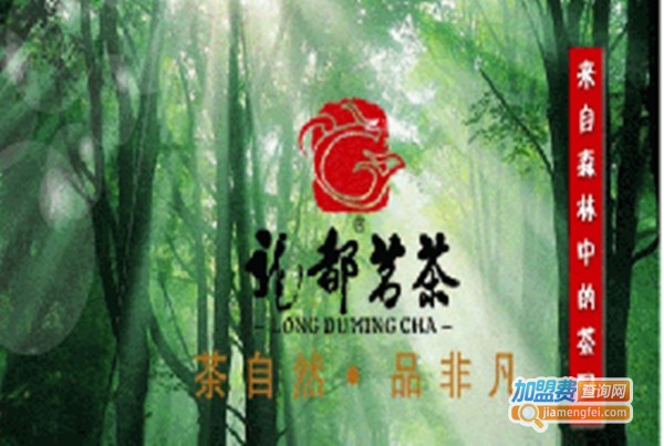 龙都茶业加盟费