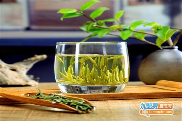 斑马茶叶加盟费