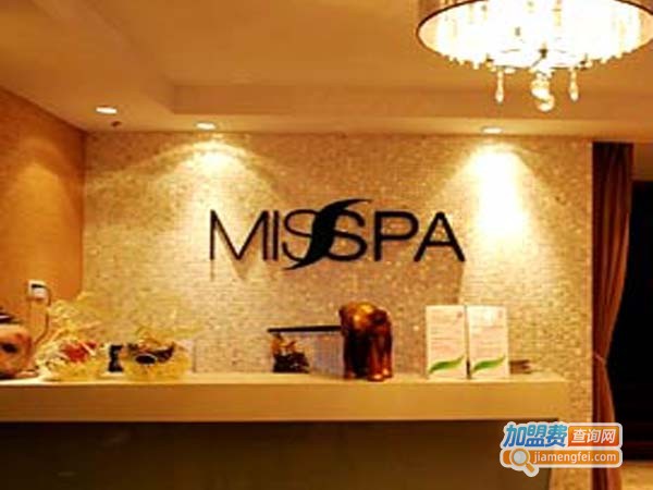 麦莎美容spa加盟店