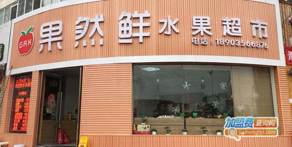 果然鲜水果店加盟费