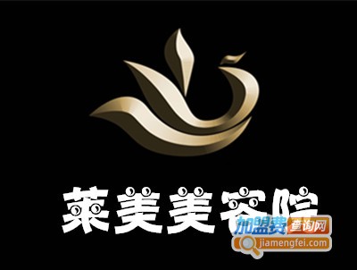 莱美美容院加盟费
