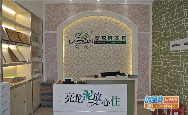 亮龙硅藻泥墙饰加盟