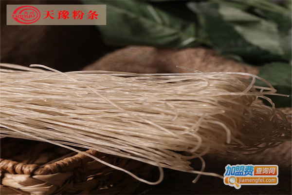 天豫粉条加盟费