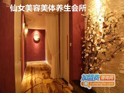 仙女美容美体养生会所加盟费