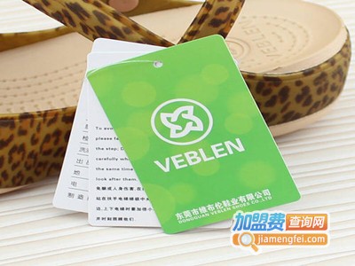 维布伦洞洞鞋加盟