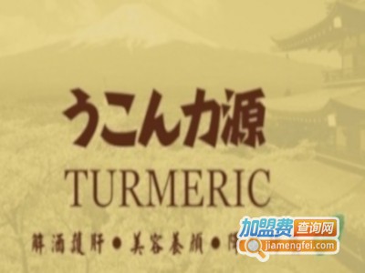 姜黄力源加盟费