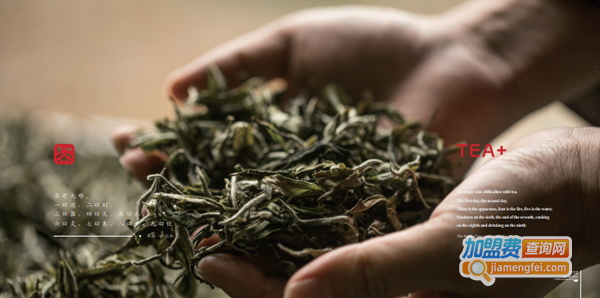 加减茶饮加盟