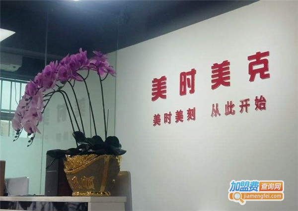 美时美克空气净化器加盟店