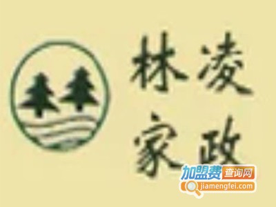 林凌家政加盟费