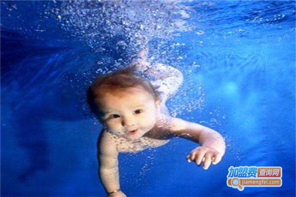 三瑟海婴儿游泳水育早教加盟费
