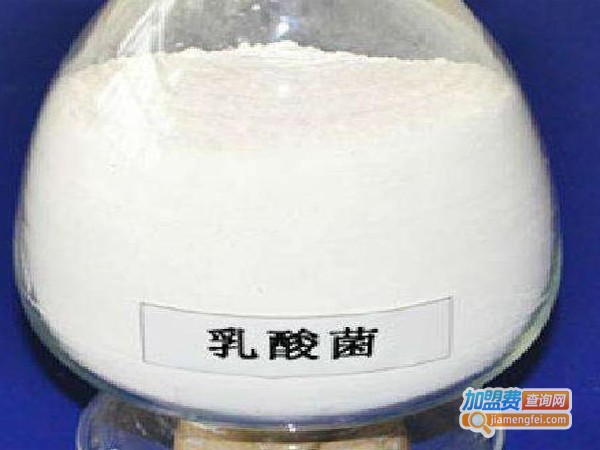 海太乳酸菌饮料加盟店