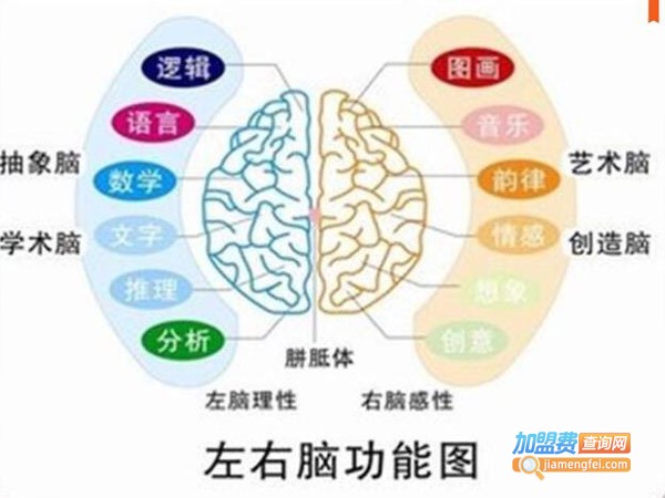 赛迪恩全脑开发加盟店