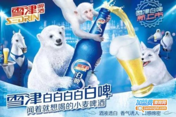 雪津白啤加盟费