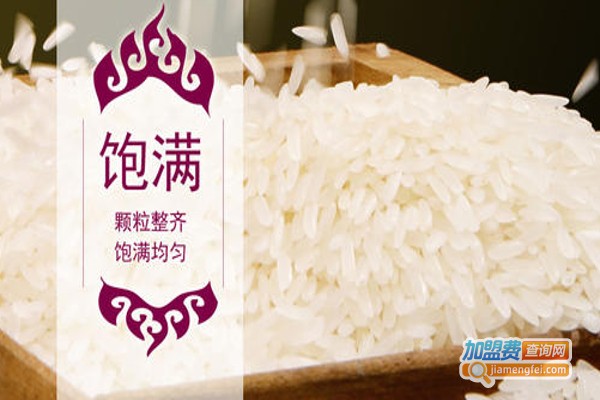 金熊大米加盟费