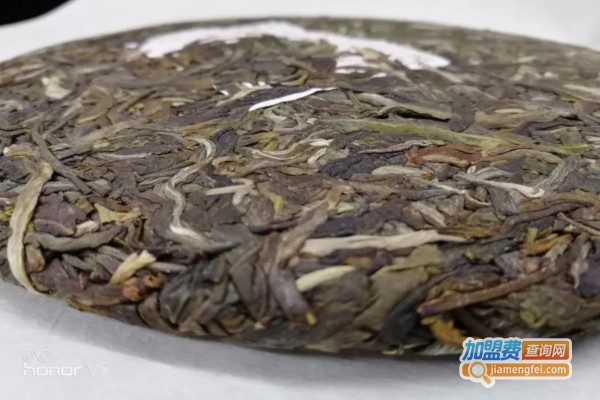 信奕福加盟费