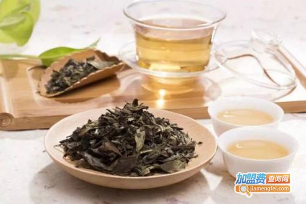 东九升白茶加盟费