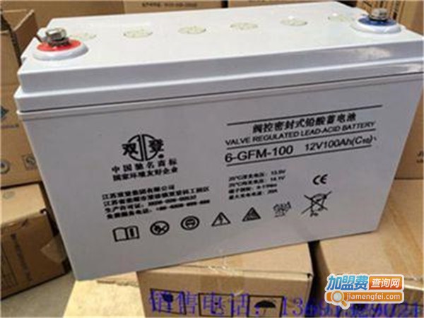 双登电瓶加盟费