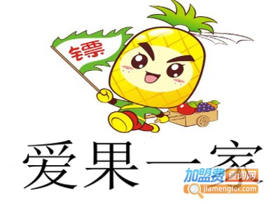 爱果一家加盟电话