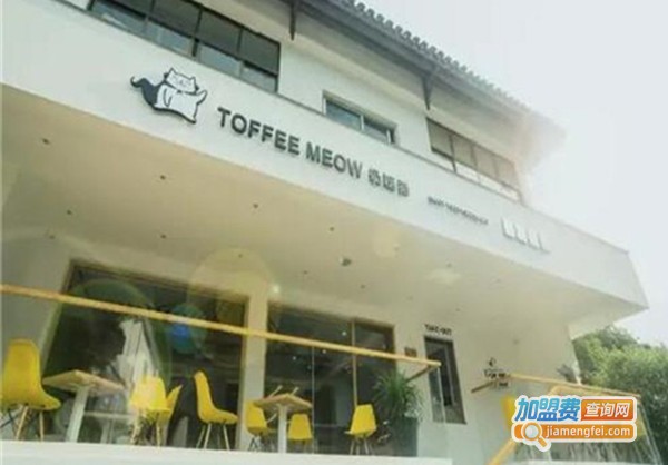 toffee meow奶糖猫加盟费