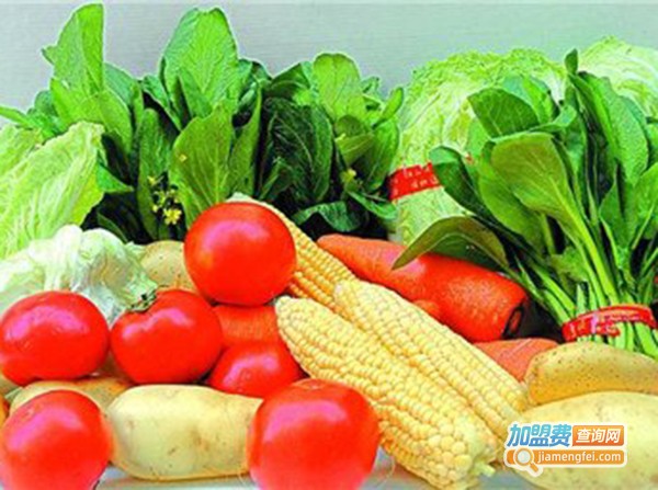 高迪诗生态食品加盟费