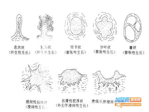 医学教育网加盟费