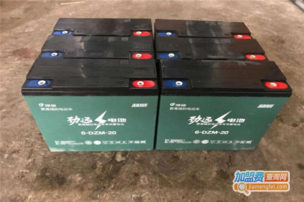雅迪电动车电池