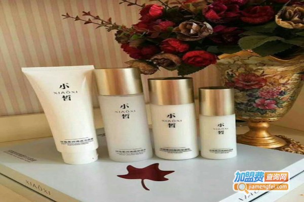 小皙化妆品加盟费