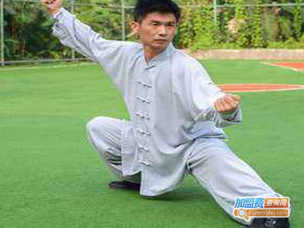 柏龄加盟费