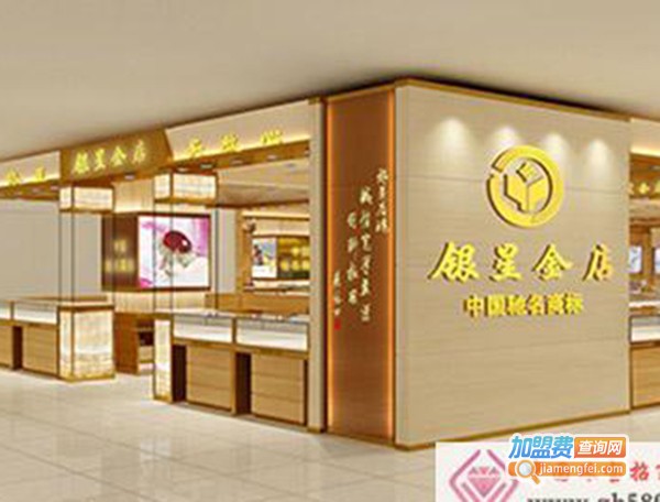 银星金店加盟费