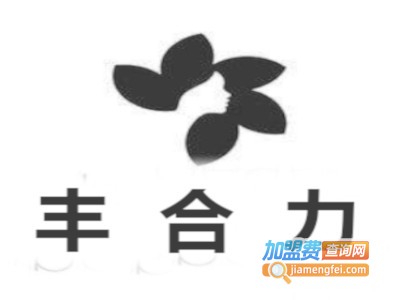 丰合力加盟费