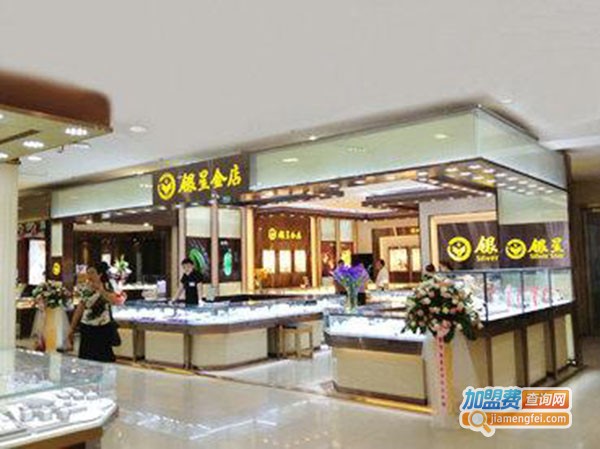 银星金店加盟费