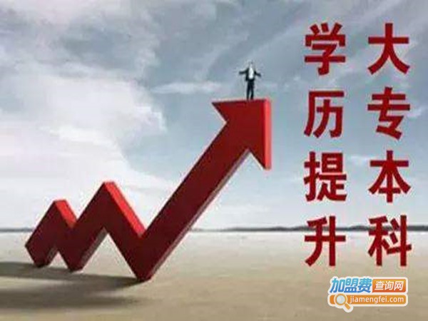所罗门教育加盟门店