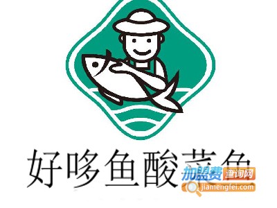 好哆鱼酸菜鱼加盟费
