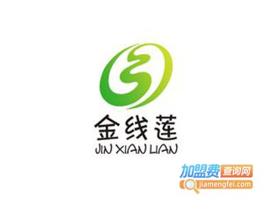 金线莲茶加盟费