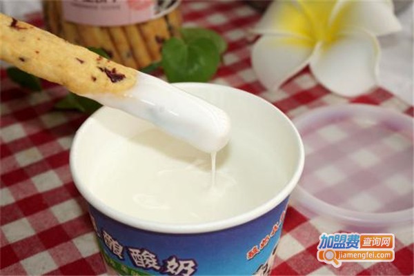 每汁每味现酿酸奶加盟