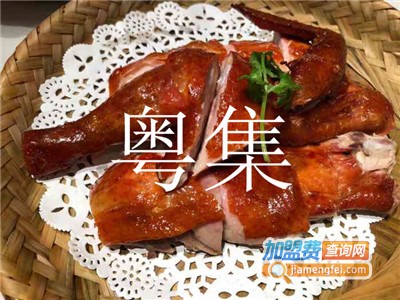 粤集加盟费