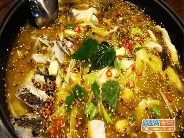 岳记斑鱼锅火锅加盟费