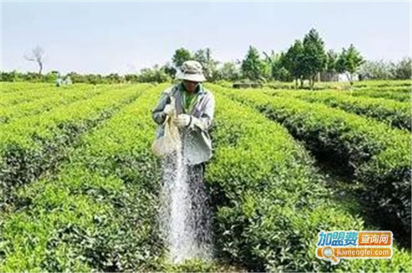 隆源化肥加盟费