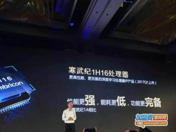 寒武纪教育加盟