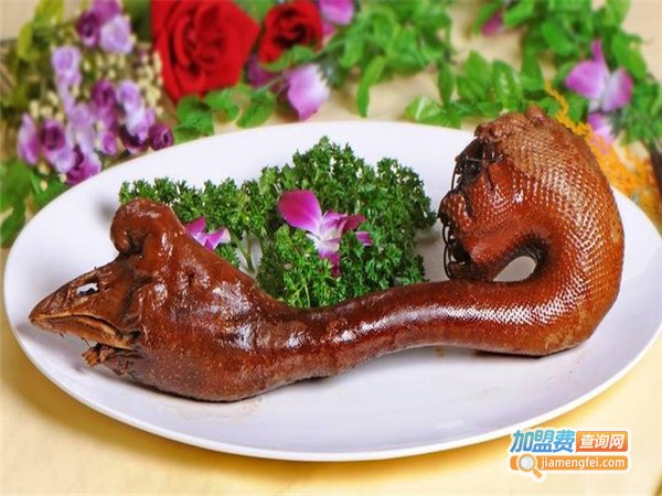 潮州卤水鹅加盟费