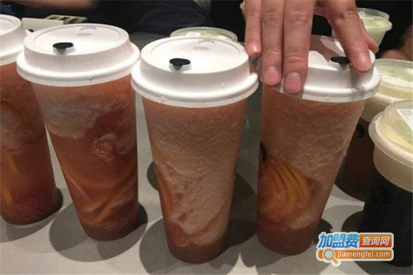 茶小树加盟费