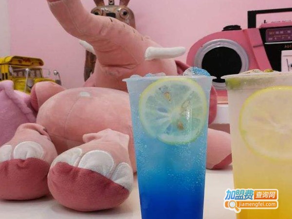 Hello粉象摄影·饮品集合店加盟费