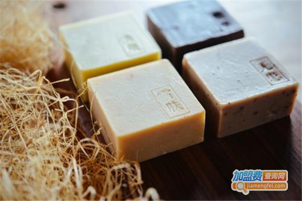雅诗缇妮手工皂加盟费