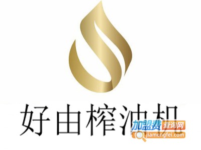好由榨油机加盟费